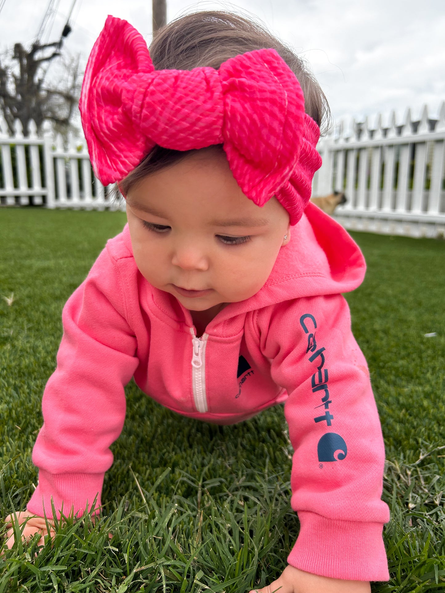 Pink Zebra Headwrap